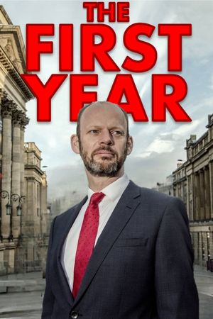 The First Year's poster image