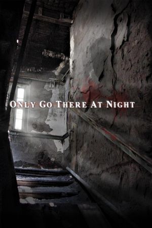 Only Go There at Night's poster image