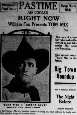 The Big Town Round-Up's poster