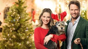 Picture a Perfect Christmas's poster