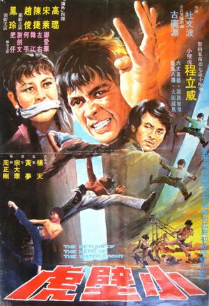 Xiao bi hu's poster image