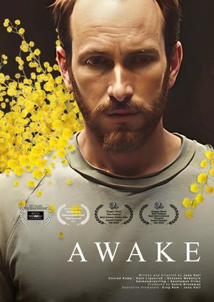 Awake's poster