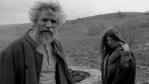The Turin Horse's poster