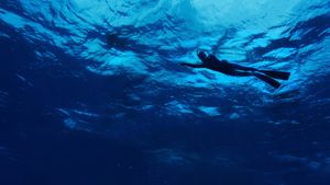 The Swim's poster