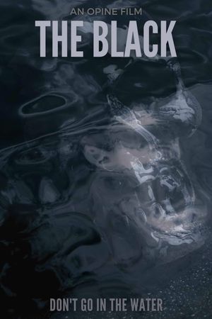 The Black's poster