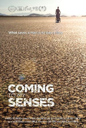 Coming to My Senses's poster