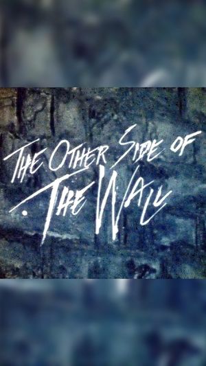 The Other Side of the Wall's poster image