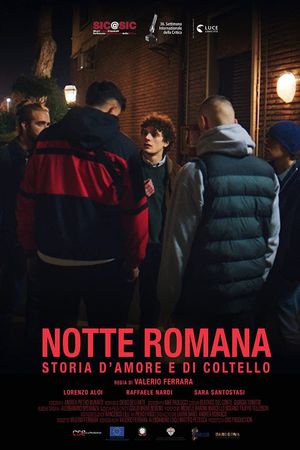 Roman Nights's poster image