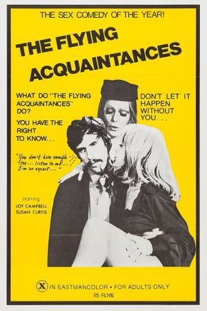Flying Acquaintances's poster