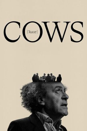 Cows's poster