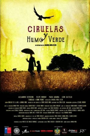 Ciruelas y humo verde's poster