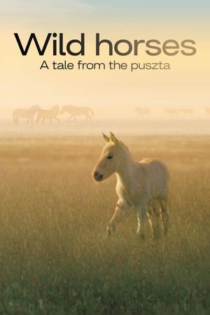 Wild Horses: A Tale from the Puszta's poster