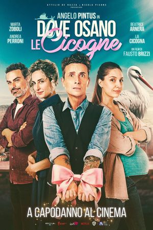 Dove osano le cicogne's poster