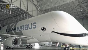 Megastructures: Airbus Beluga XL's poster