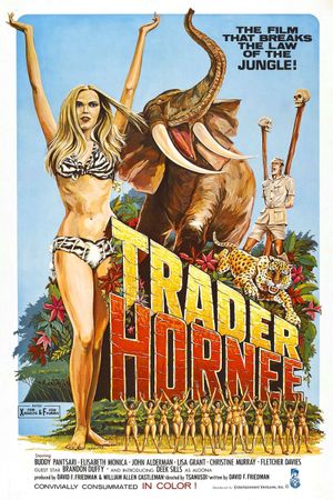 Trader Hornee's poster