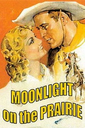 Moonlight on the Prairie's poster