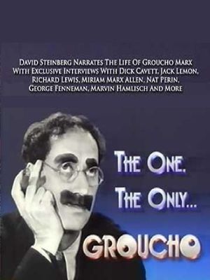 The One, the Only... Groucho's poster image