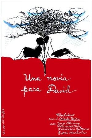 Una novia para David's poster