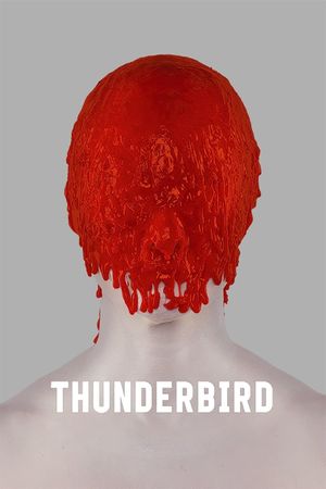 Thunderbird's poster