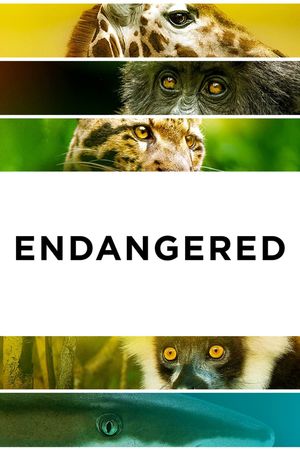 Endangered's poster