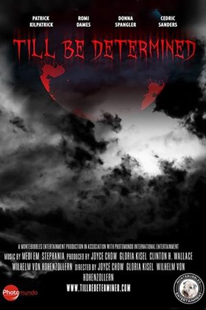 Till Be Determined's poster