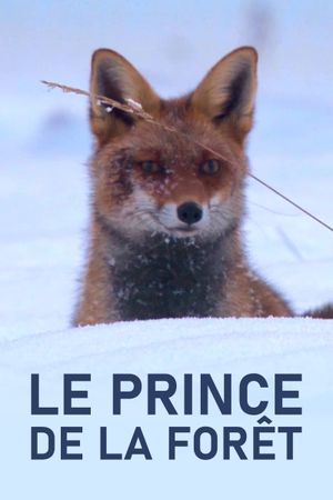 The Prince of the Forest's poster