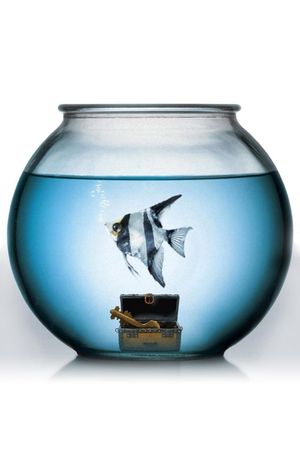 A Fish Called Wanda's poster