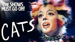 Cats's poster