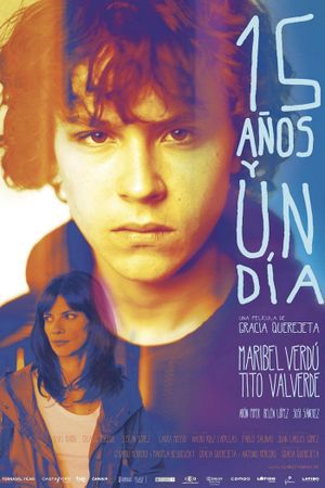 15 Years and One Day's poster