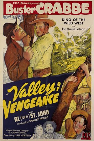 Valley of Vengeance's poster