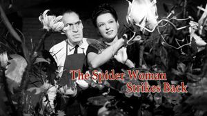 The Spider Woman Strikes Back's poster