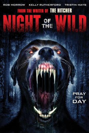 Night of the Wild's poster