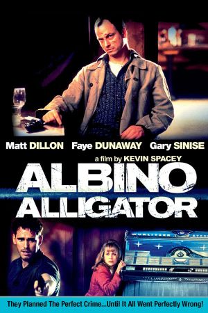 Albino Alligator's poster