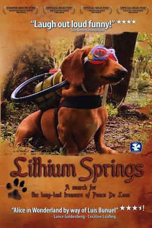 Lithium Springs's poster