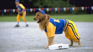 Air Bud: Seventh Inning Fetch's poster