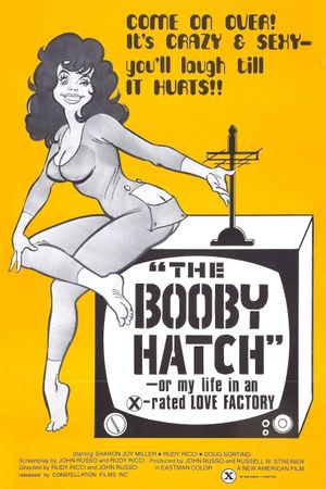 The Liberation of Cherry Janowski's poster