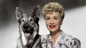 The Return of Rin Tin Tin's poster