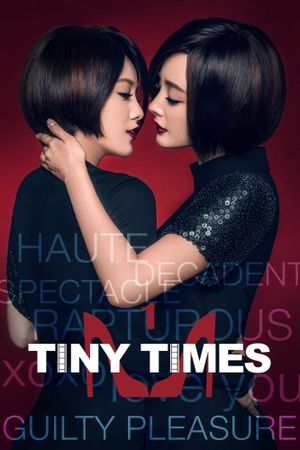 Tiny Times's poster