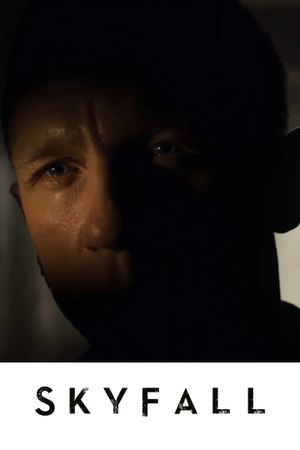 Skyfall's poster
