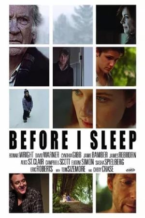 Before I Sleep's poster