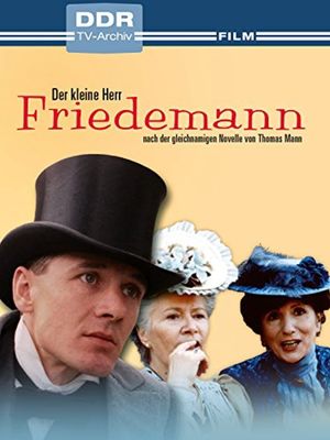 Der kleine Herr Friedemann's poster