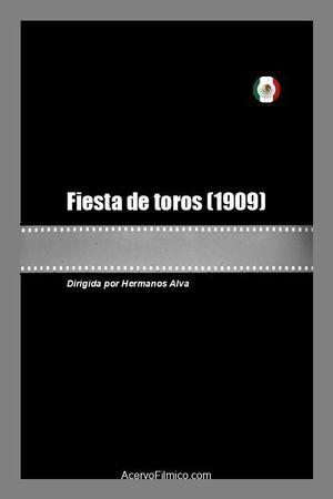 Fiesta de toros's poster