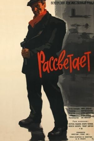 Virrad's poster