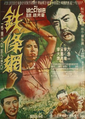Entanglements's poster