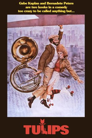 Tulips's poster