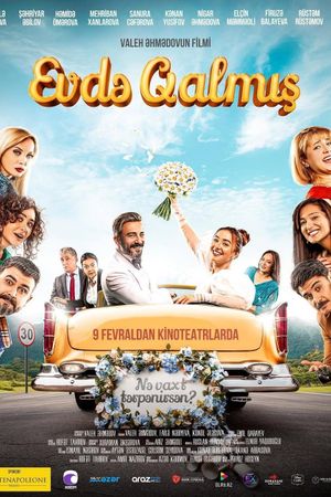 Spinster's poster
