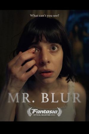 Mr. Blur's poster image