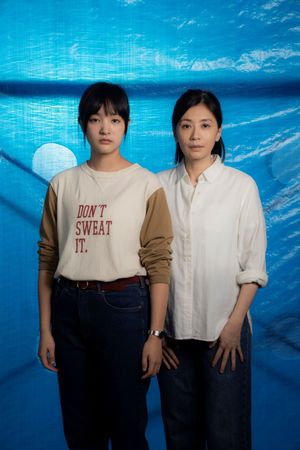 The Falls's poster