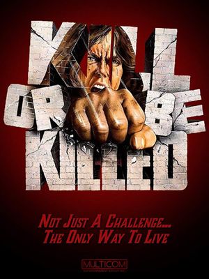 The Karate Killers's poster