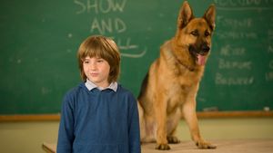 Cool Dog's poster